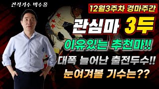 [12월3주차 관심마 3두] 대폭 늘어난 출전두수!! 각 마방과 기수는 지금부터 최선!!#박수홍경마 #관심마3두