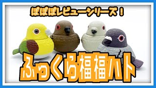 【羽鳥ぽぽぽ】ふっくら福福ハト レビュー【第233羽】