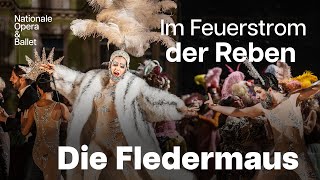 A Toast to Champagne in Die Fledermaus |  Dutch National Opera