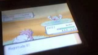 Wi-fi event:shiny Entei,s first battle