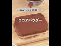 材料3つ！レンジで簡単✨ゆる糖質オフ😙濃厚なめらかチョコチーズケーキ🍫💕