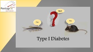 Zebrafish TypeI Diabetes- Pentagrit Webinar