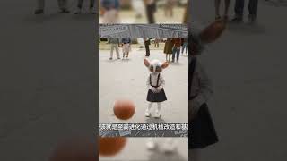 老頑童欺負小孩兒#shorts  漫威,銀河護衛隊,星爵,卡魔拉,格魯特,火箭浣熊,星雲,至高進化,亞當術士,Marvel,Guardians of the Galaxy