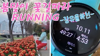 [러닝VLOG] 봄에 꼭 뛰어봐야 할 장유율하천 |10km 벚꽃런 | 춘천마라톤 풀코스 준비기