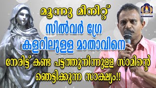 മൂന്നു മിനിറ്റ് സിൽവർ ഗ്രേ കളറിലുള്ള മാതാവിനെ നേരിട്ട് കണ്ട പട്ടത്തുനിന്നുള്ള സാമിന്റെ സാക്ഷ്യം!!.