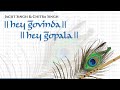 hey govinda hey gopala jagjit singh chitra singh krishna song krishna bhajan