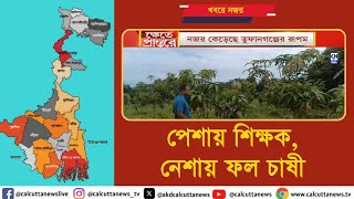 পেশায় শিক্ষক, নেশায় ফল চাষী  । ক্যালকাটা নিউজ