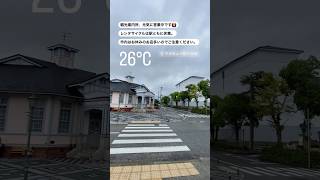 2024月8月31日(土)丹波篠山市 本日の観光情報です。#兵庫県丹波篠山市 #関西おでかけ