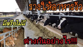 🔴รางอาหารวัว ควรมีหรือไม่  สำคัญอย่างไร!!!