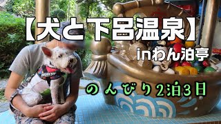 【犬と下呂温泉】夏休みの疲れを癒す白シュナ銀太inわん泊亭