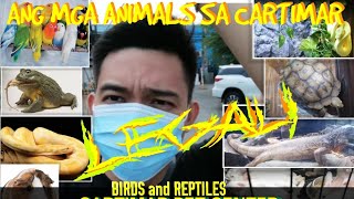 CARTIMAR PET SHOP REPTILAB: BEST PETSHOP IN THE PHILIPPINES PET CENTER