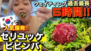 待ち時間5時間?!今韓国で超人気！セリユッケビビンバとセリコムタンは日本で絶対食べられない！食後は絶対知らない隠れ家カフェ【モッパン】【話題】