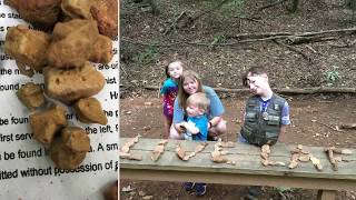 Traveling To New Jersey - Dixie Caverns, Salem, VA and Traveling Home