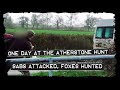 Sabs Attacked, Multiple Foxes Hunted | One Day at the Atherstone Hunt