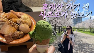 [브이로그]일본 소도시 시즈오카 맛보기여행, 벚꽃시즌, 후지산 ep1 2023.03.29~ 04.01 일본여행