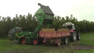 Monchiero Walnuts Harvester ITALY - კაკლის მოსავლის ამღები მანქანები/კაკლის კომბაინი/კაკლის საბერტყი