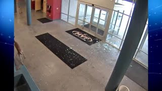 Clip: Deer crashes into MVP Athletic Club in Rockford