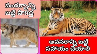 చిన్న కథ #telugustories #moralstories #telugustorieskathalu @ideasbazarib2332 #telugu#chinnakathalu