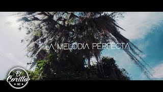 La Melodía Perfecta Gio & Gabo - ¿Qué Pasa?   ( Oficial)