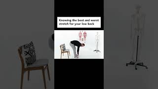 Try This Amazing Stretch If You Have Lower Back Pain #shorts