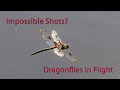 Impossible Shots? Dragonflies in Flight