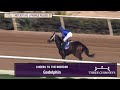 Immersive wins the NetJets Breeders' Cup Juvenile Fillies G.I race 7 at Del Mar 11/1/24