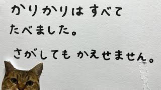 【誤送】猫に誤って4630ｇのカリカリを振り込んでしまった結果