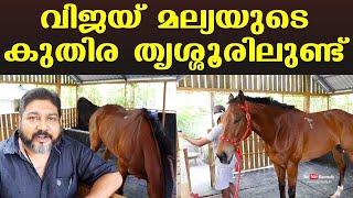 വിജയ് മല്യയുടെ കുതിര തൃശ്ശൂരിലുണ്ട് | Rishi Palpu from Thrissur buys Vijay Mallya’s Horse | Kerala