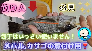 【メバル、カサゴ】包丁を使わずに捌く。（煮付け用）