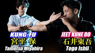 Strike the shadow! Amazing skills to control the opponent, KUNG-FU & JEET KUNE DO,Various subtitles