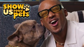 Algee Smith's Adorable French Bulldog