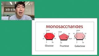 170. [생명과학2]2-1. 생명체의 구성 물질 - 물, 탄수화물