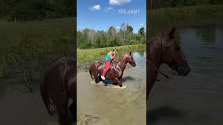 playing \u0026 swimming with a horse \u0026 riding bareback in a lake #horseriding #horseswimming #viralvideo