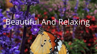 Relaxing Music For Stress Relief, Anxiety and Depressive States Heal Mind