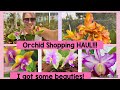 Orchid Shopping Haul! I got beauties!!