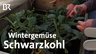 Vergessenes Wintergemüse: Schwarzkohl aus Bamberg | Zwischen Spessart und Karwendel | BR