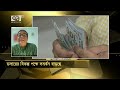 গ্রহণযোগ্যতা হারাচ্ছে ডলার বিকল্প আসছে dollar ekattor shokal ekattor tv