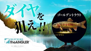 【CotW: The Angler】ゴールデントラウトのダイヤモンド狙います！【Call of the Wild】