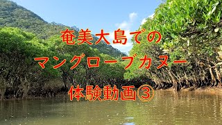 【奄美大島でマングローブ林カヌー③】マングローブ茶屋でカヌーをレンタルし、自由にカヌー散策(*^-^*)