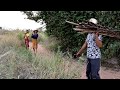 Download A Two Beautiful Girl in Wild Find Wood Meet Wicked people.New Movie In Mp4 3Gp Full HD Video