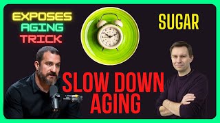 Huberman and Sinclair Reveals "HOW TO SLOW DOWN AGING" - Neuroscience Trick