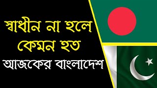 যদি এখনও বাংলাদেশ পাকিস্তানের অংশ থাকতো তাহলে কেমন হতো বাংলাদেশের অর্থনীতি । BD Tube