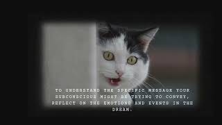 Decoding Cat Dreams: What They Reveal About Your Subconscious