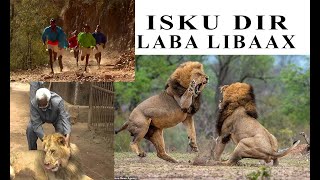 Sheeko Libaax - Maalintii aan Labada Libaax isku diray |Kanaalka Khadar Oomaar #sheekolibaax