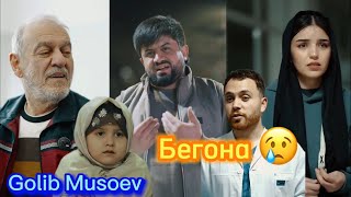 Голиб Мусоев Бегона Видеи Аламовар 2024 ❤️ голиб шов