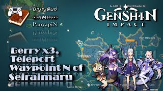 Berry x3, Teleport Waypoint N of Seiraimaru | Genshin Impact