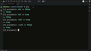 #1 - Use nil as a boolean in Ruby