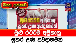 මුළු රටටම අප්‍රිකානු සූකර උණ අවදානමක්