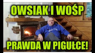 OWSIAK I WOŚP - PRAWDA W PIGUŁCE!