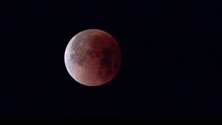 Lunar Eclipse 2018/01/31